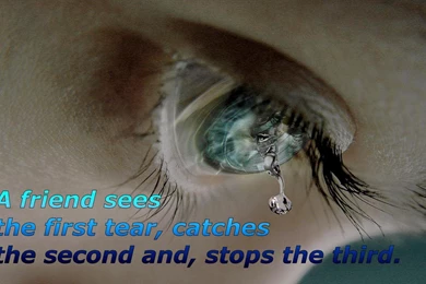 Friendship Wallpapers