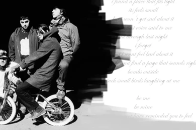 Animal Collective Hd Wallpapers   (