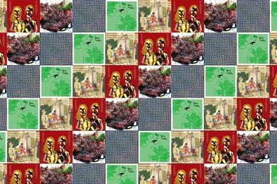 Animal Collective Feels Sung Tongs Strawberry Jam Merriweather ...