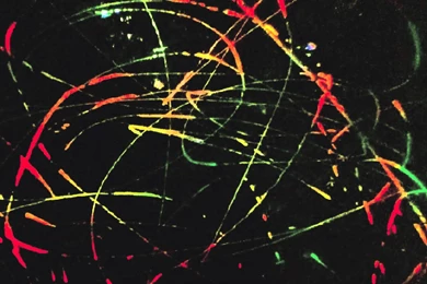 Beat Spacek   'I Want You' (Animal Collective Remix)   YouTube