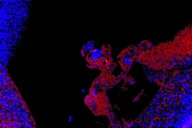 Spirit They've Vanished (Animal Collective)   YouTube