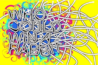 Animal Collective   1841592