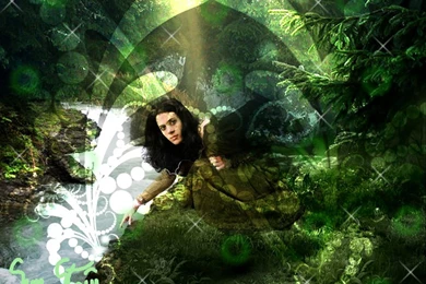 Faerie Wallpapers   Bing Images