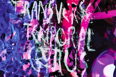 Animal Collective "Transverse Temporal Gyrus" Part 1   YouTube