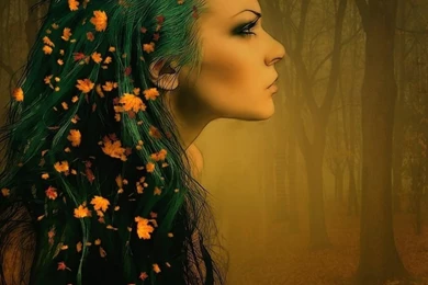 Faerie Wallpapers   Wallpapers Cave