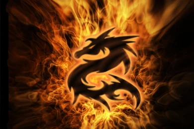 Cool Dragon Designs Wallpapers Picture
