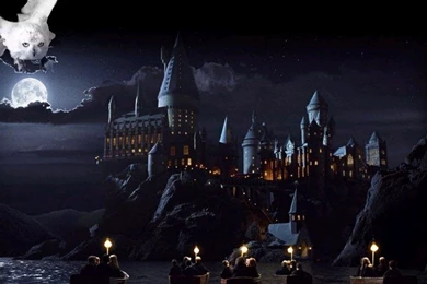 Harry Potter Desktop Backgrounds   Wallpapers Cave