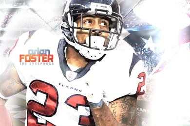 Arian Foster   Houston Texans
