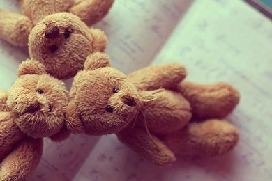 Teddy Bears Twitter Cover & Twitter Backgrounds