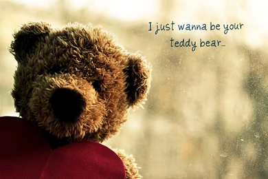 Teddy Bear Wide Desktop Backgrounds   Wallpaperss HD