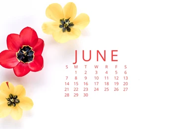 Free Desktop Wallpapers For June — Haute Chocolate