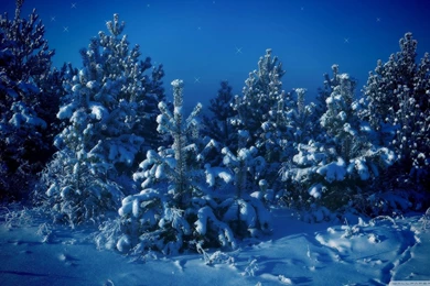 Free christmas countdown desktop background 2012 10.jpg