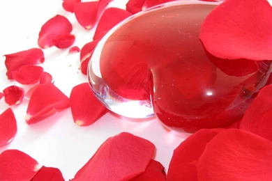 Love Wallpapers Archives   Page 13 Of 19   Free Desktop Wallpapers ...