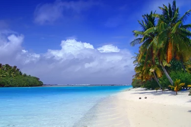 Tropical Desktop Wallpapers M4N   Savewallpaper.com