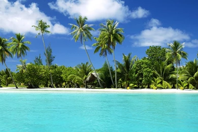 Tropical Desktop Wallpapers C4X   Savewallpaper.com