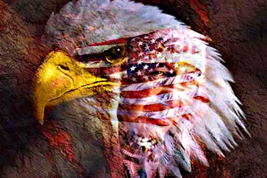 AMERICAN EAGLE WALLPAPER   (