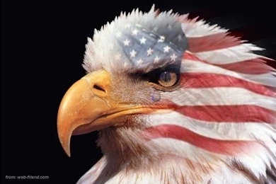 American Flag Backgrounds