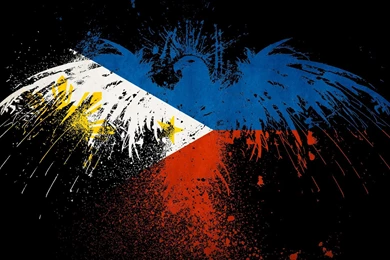 Philippine Eagle Pictures And Wallpapers