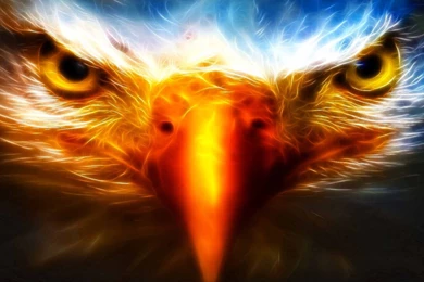 Eagle Wallpapers   Digital Art Wallpapers