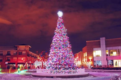 Free Holiday Wallpapers Screensavers 2015   Grasscloth Wallpapers