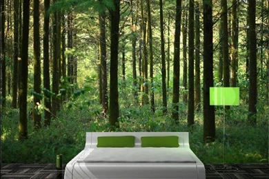 Jestingstock.com Forest Wallpapers For Bedroom