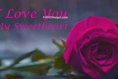 LOVE QUOTES WALLPAPERS FOR PC FREE DOWNLOAD Image Quotes At ...