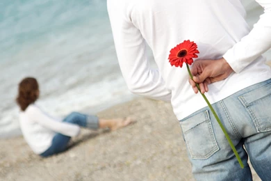 FLower For Sweetheart Wallpapers