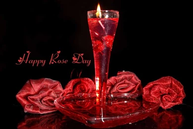 Happy Rose Day 2016 HD Wallpapers   Freshmorningquotes