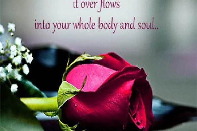 Lovely Good Morning Sweetheart Images, Wallpapers, Photos ...