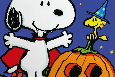 This Is Kevin And I. I Am Happy Like Snoopy And There Is Mr ...