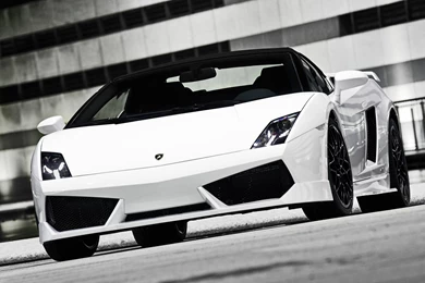 Wallpapers Lamborghini Miura Diablo Estoque Gallardo Murcielago ...