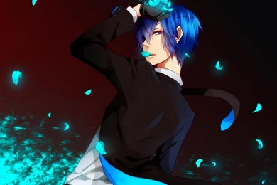 POLICE KAITO WALLPAPER   (