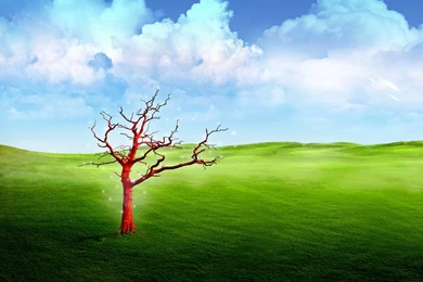 Hq wallpapers free download 3.jpg