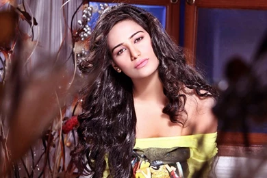 Poonam Pandey Indian Girl Beauty Wallpapers   DreamLoveWallpapers