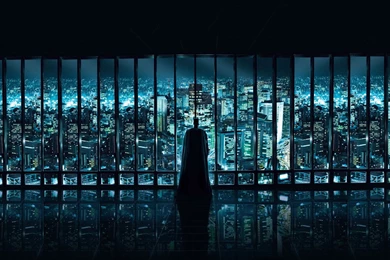 Batman Watching Over Gotham City Widescreen Wallpapers