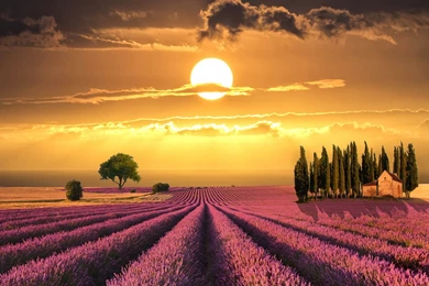 Jestingstock.com Tuscany Images Wallpapers