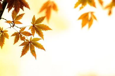 Artsy Desktop Backgrounds   Wallpapers Cave