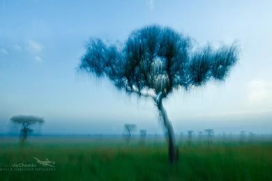 Desktop Wallpaper: Desktop Backgrounds Wallpapers