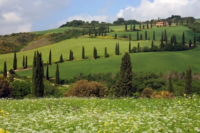 7 HomeWallpapersPhotographsLocalityTuscany Hill 1771 :: Tuscany ...