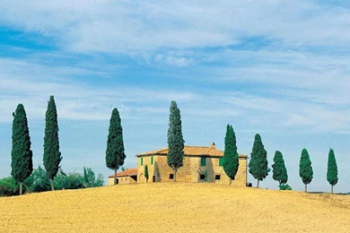 TUSCAN LIVING WALLPAPER   (
