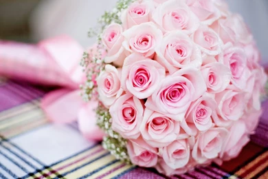 Download Wallpapers 1920x1080 Pink, Bouquet, Roses, Wedding Full HD ...