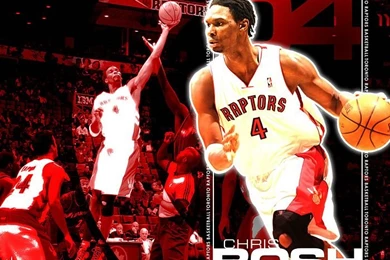 NBA Raptors   NO.4 Chris Bosh Pictures 7   Wallcoo.net