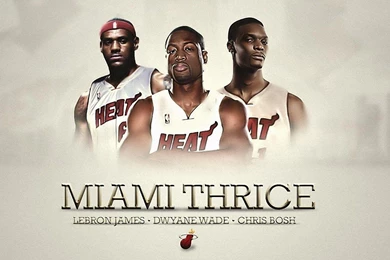 Wallpapers Field Hockey Chris Bosh X Basketball 1920x1080 ...