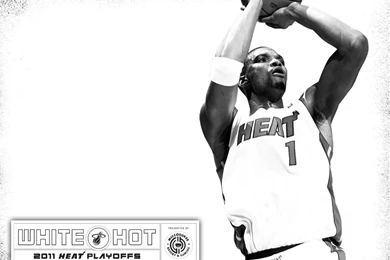 Chris Bosh Jumpshot Wallpapers   Streetball