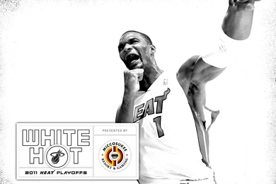 Chris Bosh NBA Finals Wallpapers   Streetball