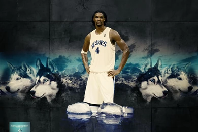 Chris Bosh Toronto Huskies Wallpapers