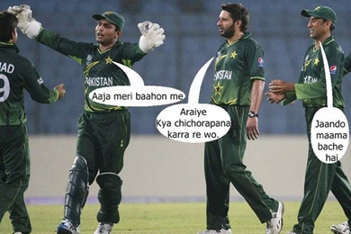 Cricket World Cup 2011 Funny Pictures/images.