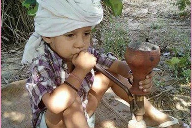 World Best Funny Wallpapers Amazing