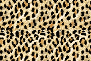 1080x960 Mobile Phone Wallpapers Download   109   1080x960 ...