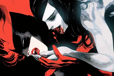 BATWOMAN Dc comics D c Superhero Heroes Hero Female Furies 1bw ...